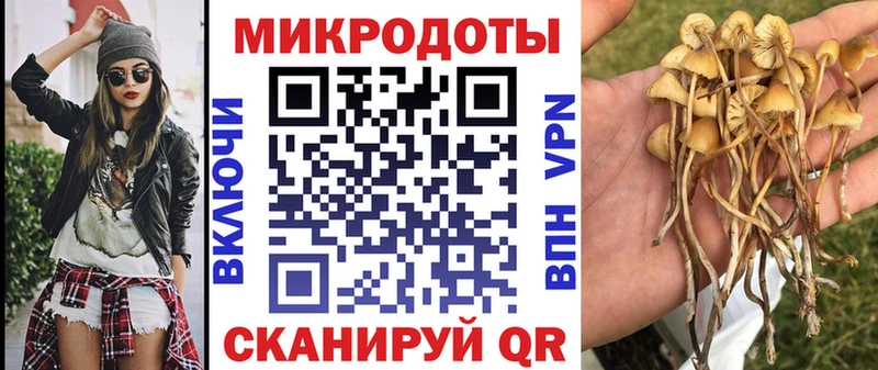 Галлюциногенные грибы мухоморы  Красноперекопск 